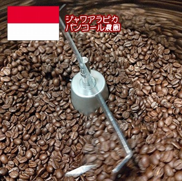 インドネシア ジャワ アラビカ パンコール農園コーヒー豆